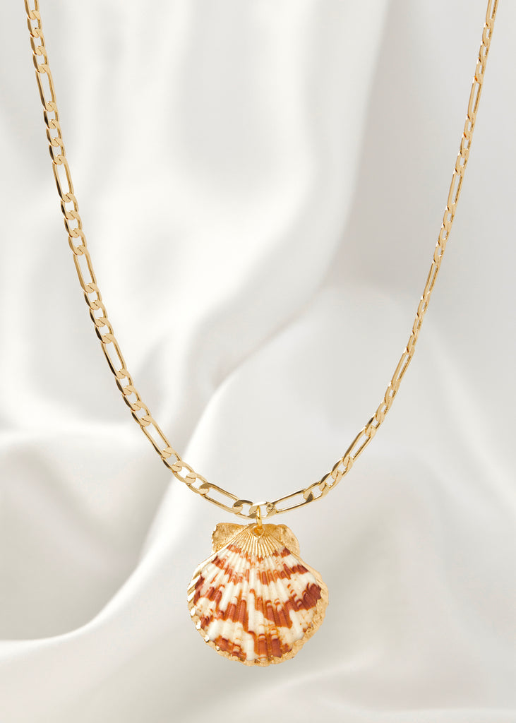 Gold Filled Beach Babe Oceanic Shell Necklace